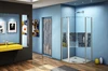 Душевое ограждение Good Door Fantasy PNT-100-F-CH 100x100