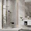 Душевая перегородка WasserKRAFT Aisch 90x200