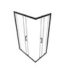 Душевое ограждение Triton Фикс блэк 120x80