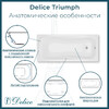 Ванна из искусственного камня Delice Triumph 170x70 глянцевая DLR330010-G