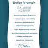 Ванна из искусственного камня Delice Triumph 170x70 глянцевая DLR330010-G