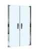 Душевая дверь WeltWasser WW600 600K2-100 100x185